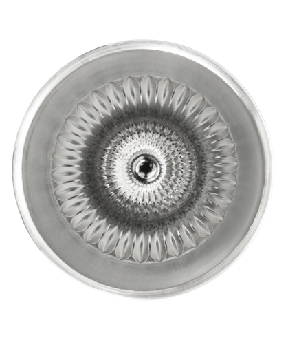 The Golden Hour Prismatic Pilsner Glass | 15 OZ LL3