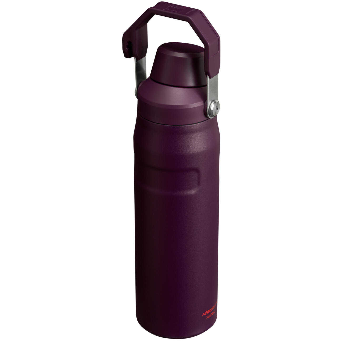 IceFlow Bottle with Fast Flow Lid | 24 OZ MY4
