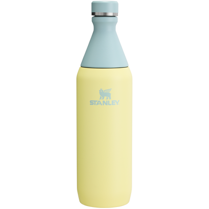 All Day Slim Bottle | 20 OZ FX2