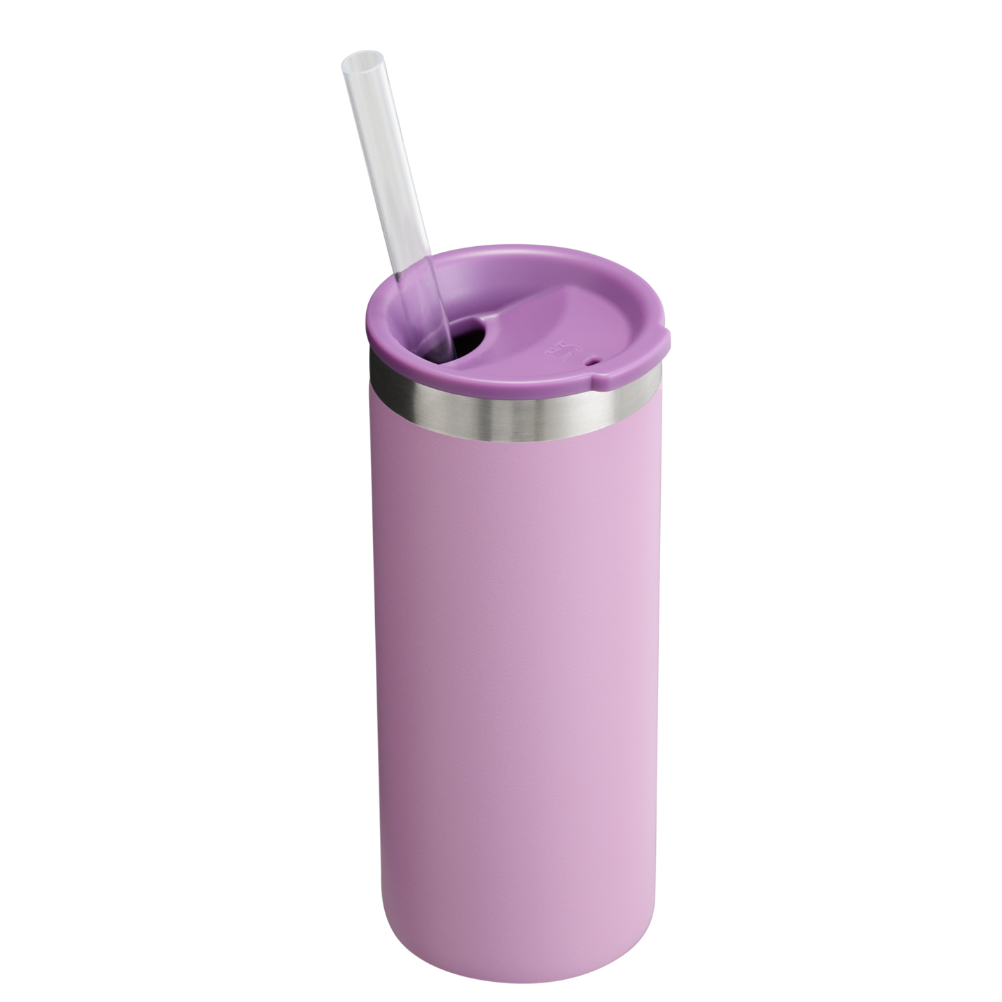 The Everyday Slim Can Cooler Cup | 10 OZ NB2