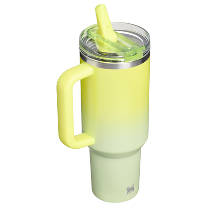 The Quencher ProTour Flip Straw Tumbler | 40 OZ OX6